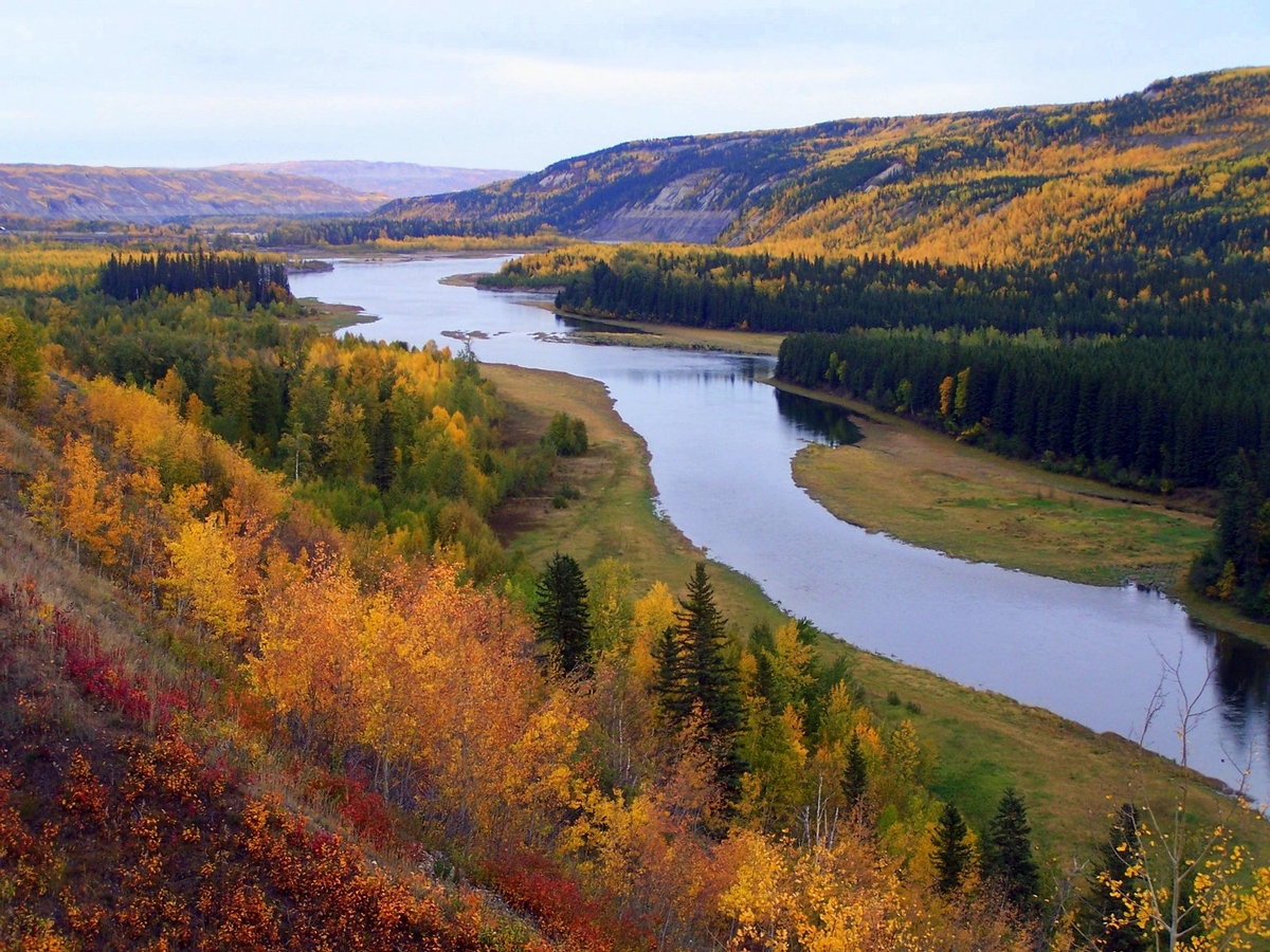 Hunting Moose in Canada